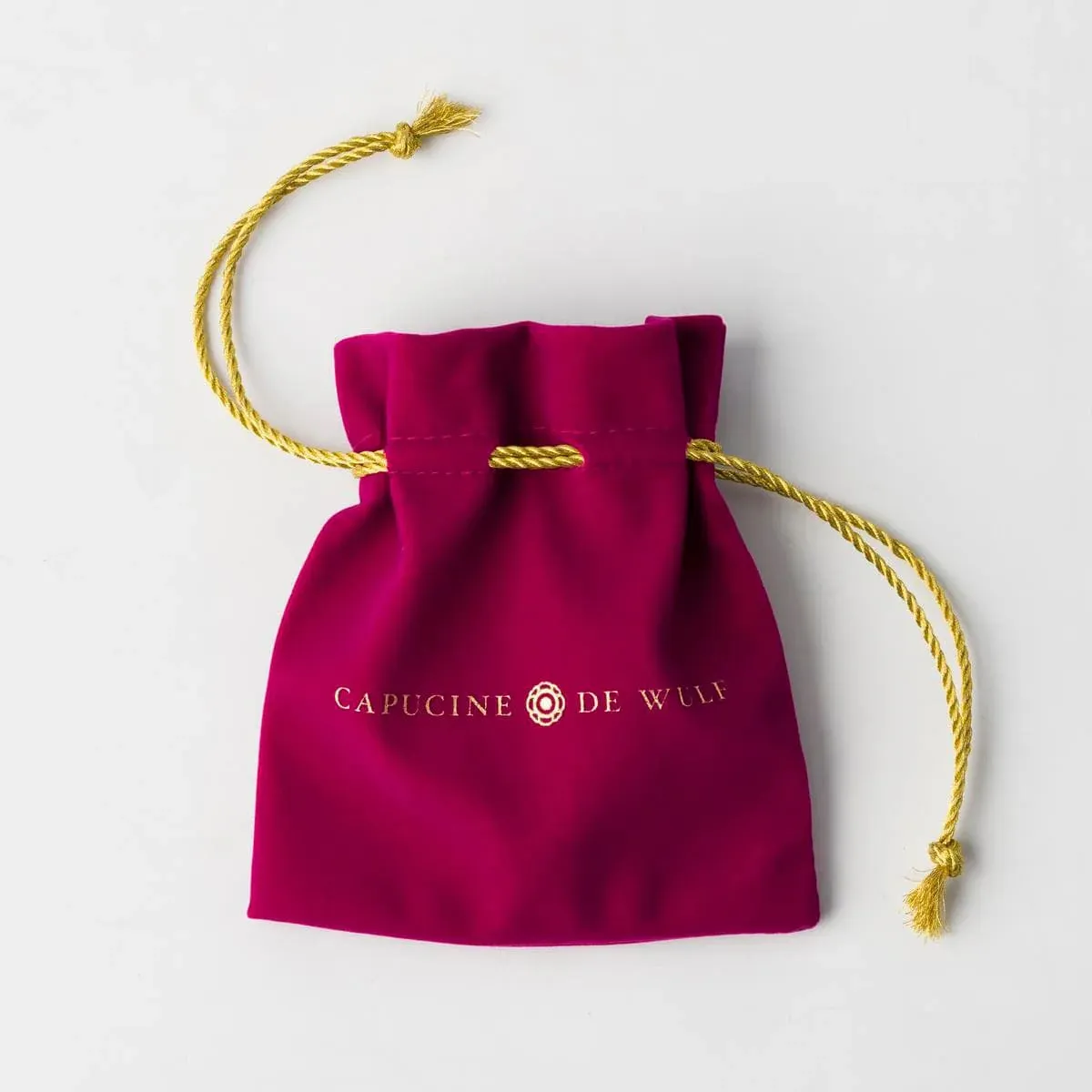 Cleopatra Classic Small Hoop Earrings - Gold
